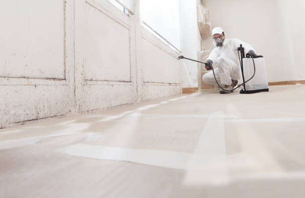 24/7 Emergency Black Mold Remediation experts in Salem, OR