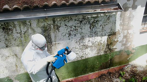 Top rated local Black Mold Remediation specialists in Salem, OR